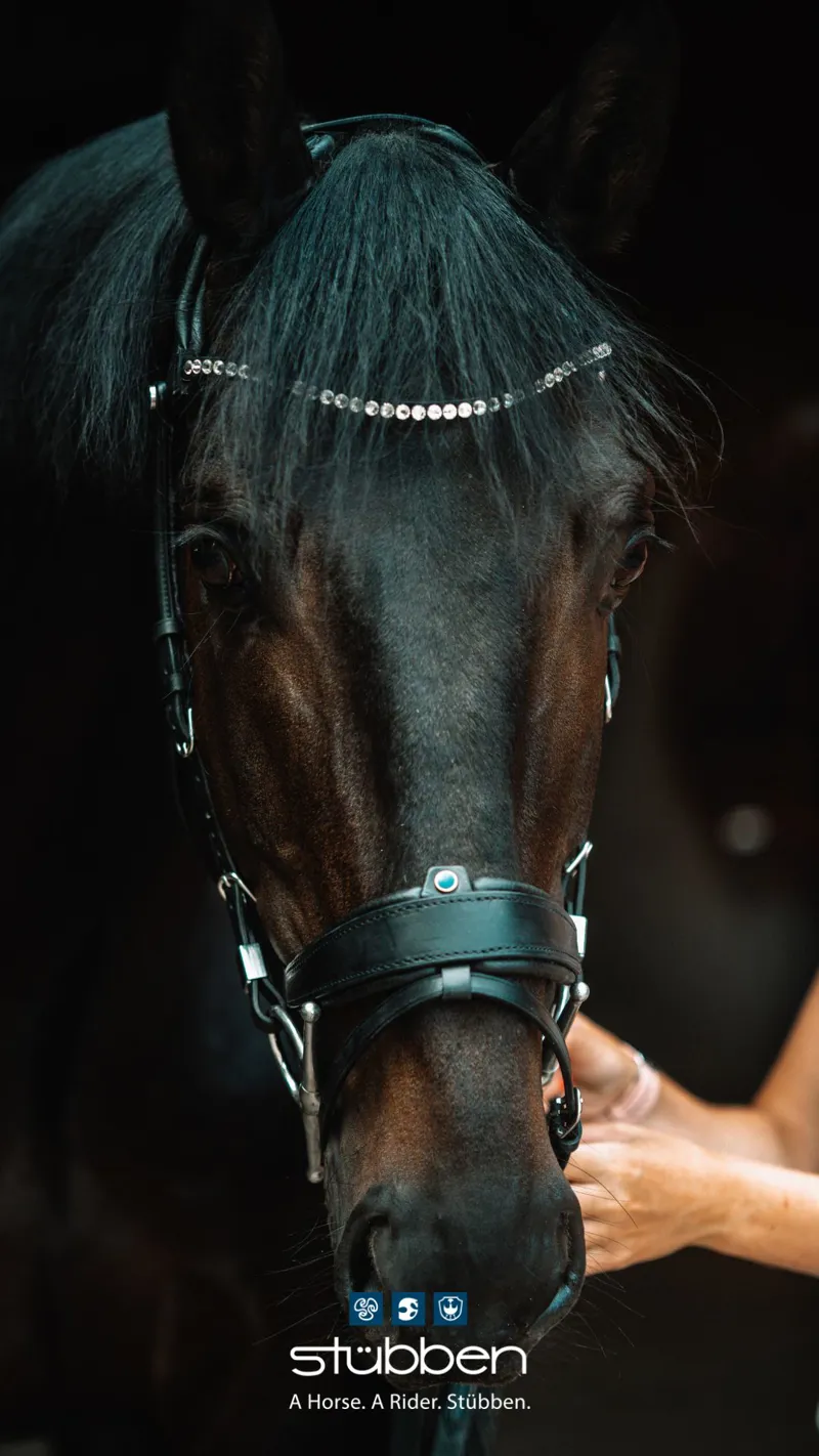Stubben Freedom II Snaffle Bridle with Magic Tack Browband Black-3